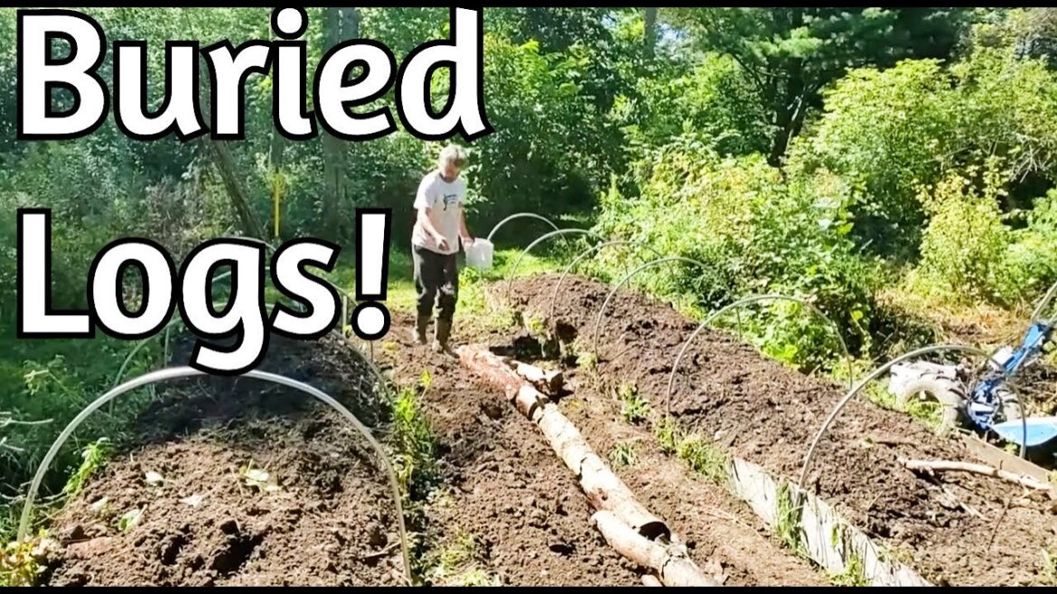 Hugelmound Creation and Orchard Planting Hugelmound Creation and Orchard Planting