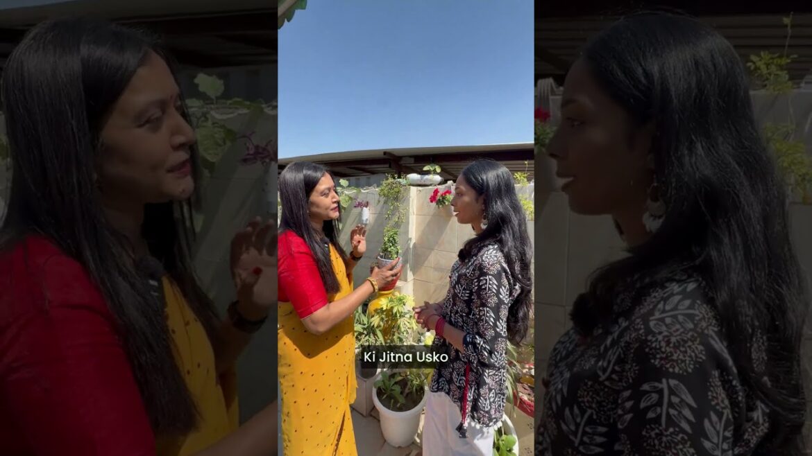 DIY Jade Tower: Self-Watering Green Decor from a Waste Bottle#shorts