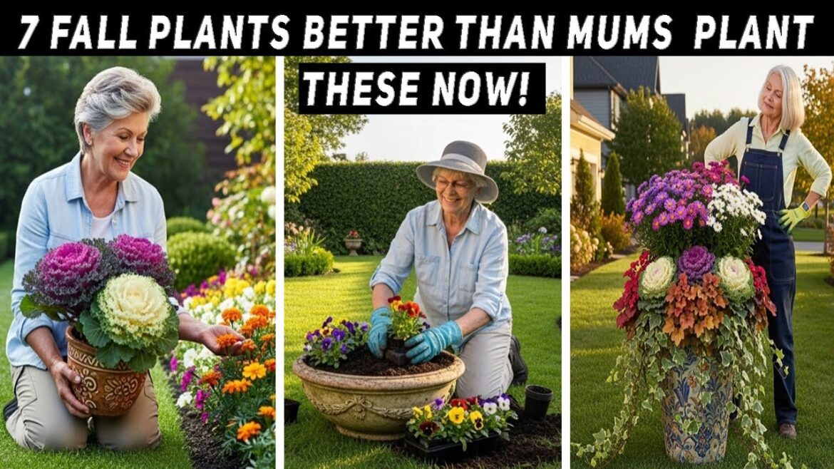 7 Stunning Fall Container Plants Better Than Mums – Try Them in Your Garden Today! | Gardening Tips 7 Stunning Fall Container Plants Better Than Mums – Try Them in Your Garden Today! | Gardening Tips