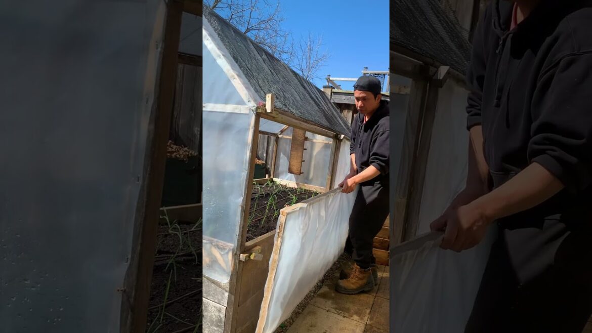 How to DOUBLE your harvest in one bed!๐ฅ๐ง
How to DOUBLE your harvest in one bed!๐ฅ๐ง