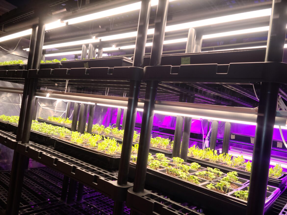 This setup can hold $5200 CDN in plant sales 🌱