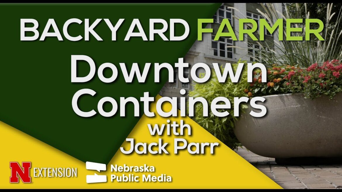 Downtown Lincoln Planters | Urban Container Gardening Ideas