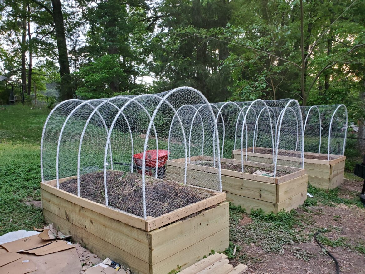 Raised bed frame/cover question: Should I build a hardware cloth frame for my bed to keep animals out?