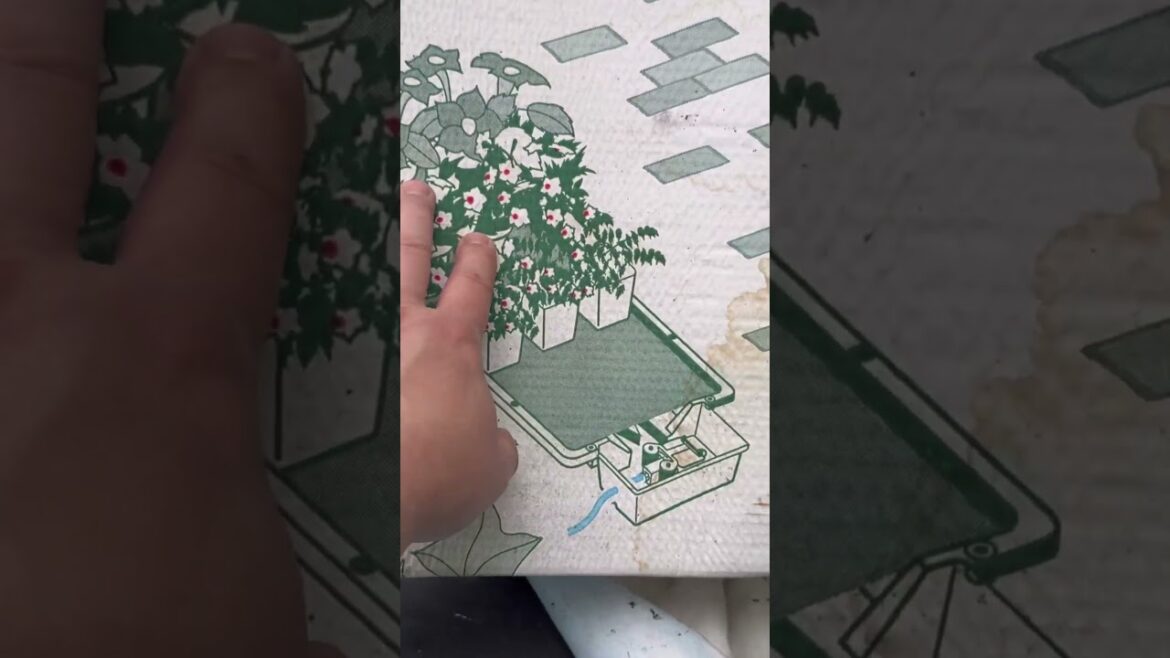 Czy ta taca da radę do uprawy?  #garden #domowauprawa