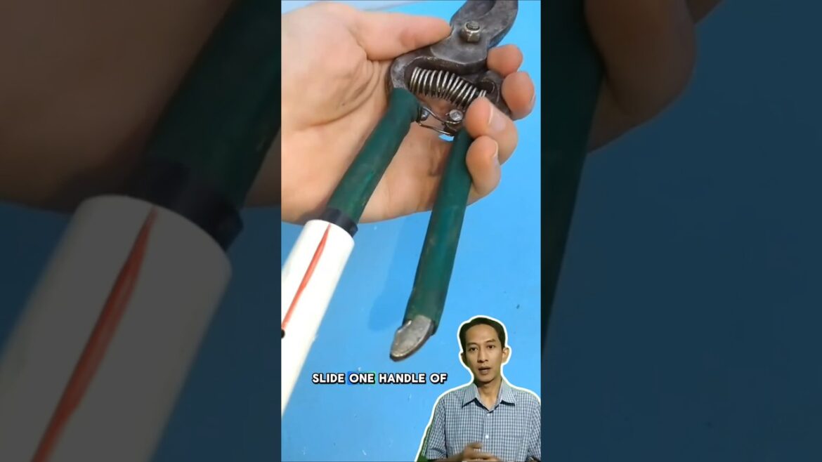 Creative gardener tricks you should know #short #creativeideas #tips Creative gardener tricks you should know #short #creativeideas #tips