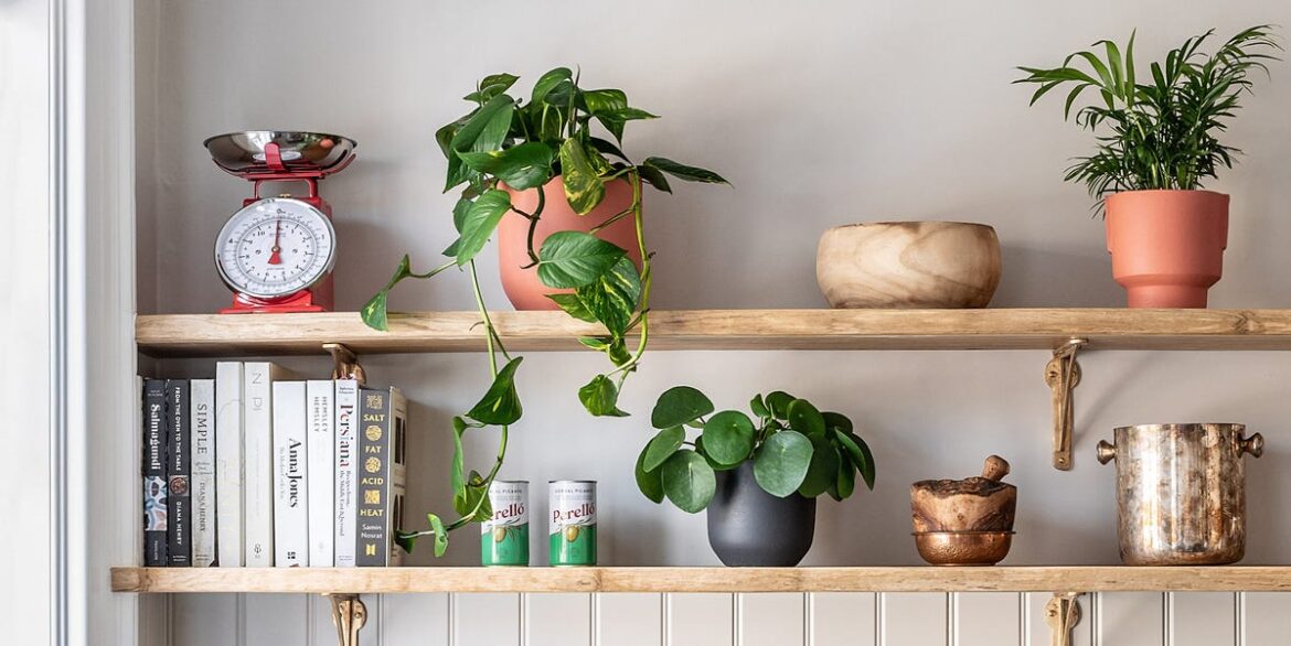 The Common Winter Houseplant Mistake That Could Be Killing Your Plants The Common Winter Houseplant Mistake That Could Be Killing Your Plants