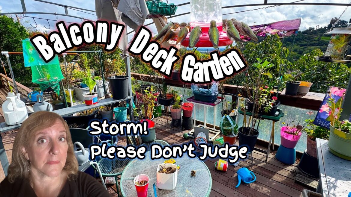 Shameful Balcony Container Garden Tour Growing Vegetables & Flowers on Deck Small Space Terrace