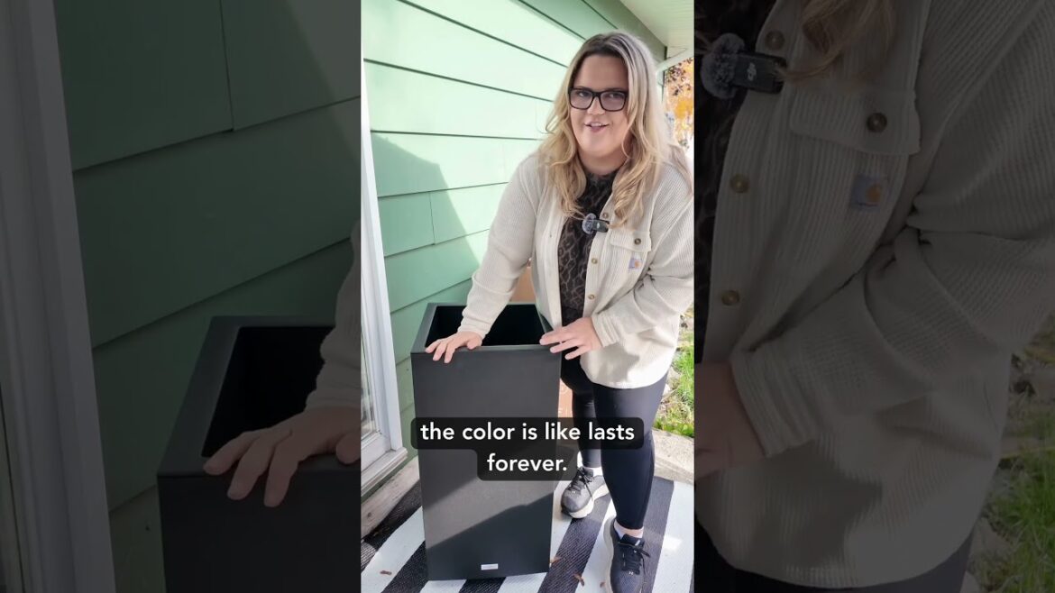 What to Know Before Buying Your Next Planter 💡