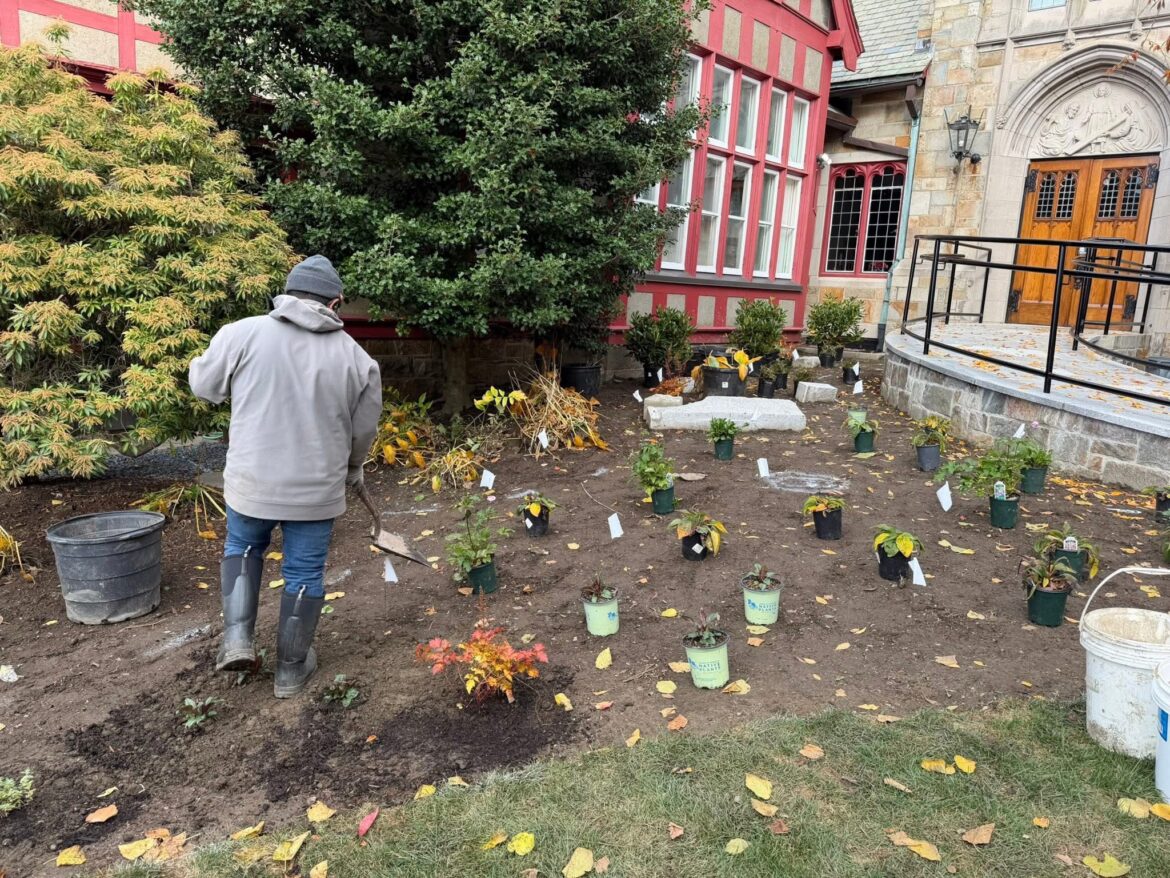 Emmanuel Church unveils pollinator garden to support community food programs Emmanuel Church unveils pollinator garden to support community food programs