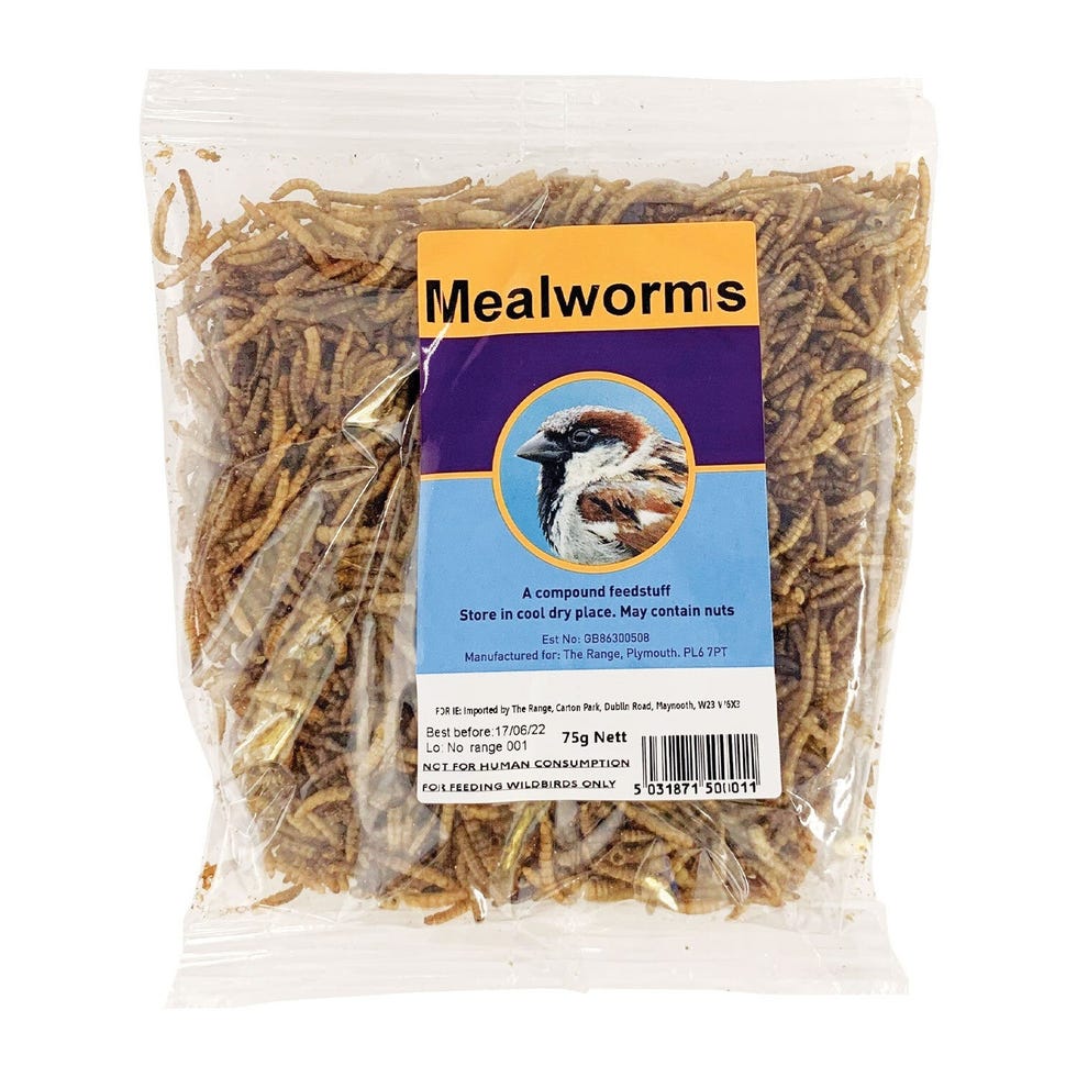 Mealworms for Wild Birds Mealworms for Wild Birds