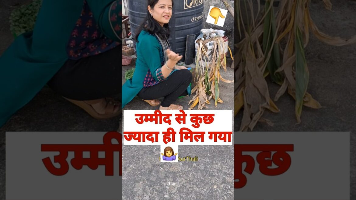 🤷‍♀️Gardening Mein To Kuchh Bhi Ho Sakta Hai #haldiinpot