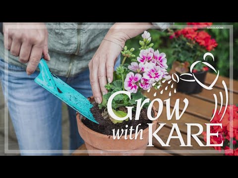 Grow with KARE: Perennials for container gardening Grow with KARE: Perennials for container gardening