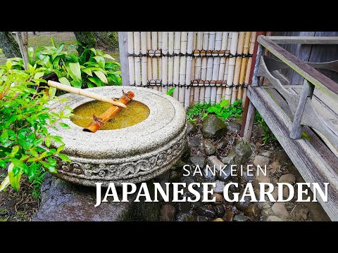 Tranquil Beauty in Every Step: A Walk Through Sankeien Japenese Garden in Yokohama Tranquil Beauty in Every Step: A Walk Through Sankeien Japenese Garden in Yokohama