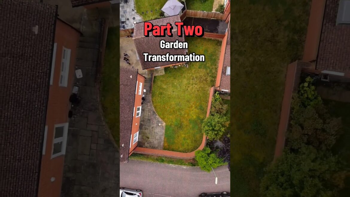 Completion of the garden transformation!π₯#landscape #transformation #beforeandafter #garden #diy Completion of the garden transformation!π₯#landscape #transformation #beforeandafter #garden #diy