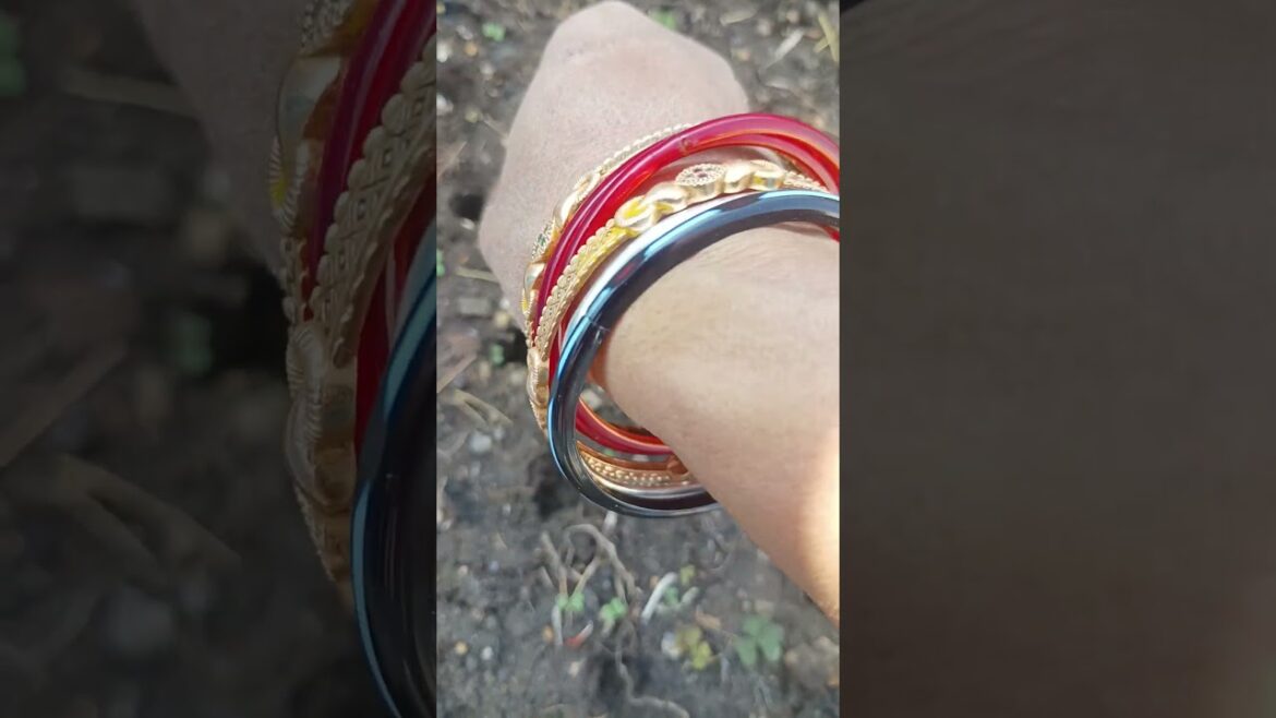 अलग तरिके से धनिया बोना है 🌿 new method# coriander#plants #garden # viral video#youtubeshorts 🪴👌