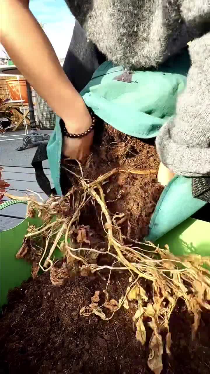 Image no longer available