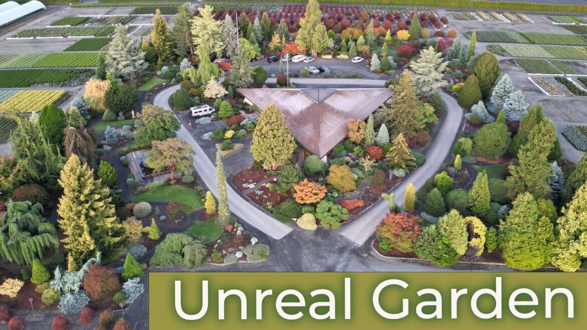 Heaven on Earth – Iseli Garden Walk Through Heaven on Earth - Iseli Garden Walk Through