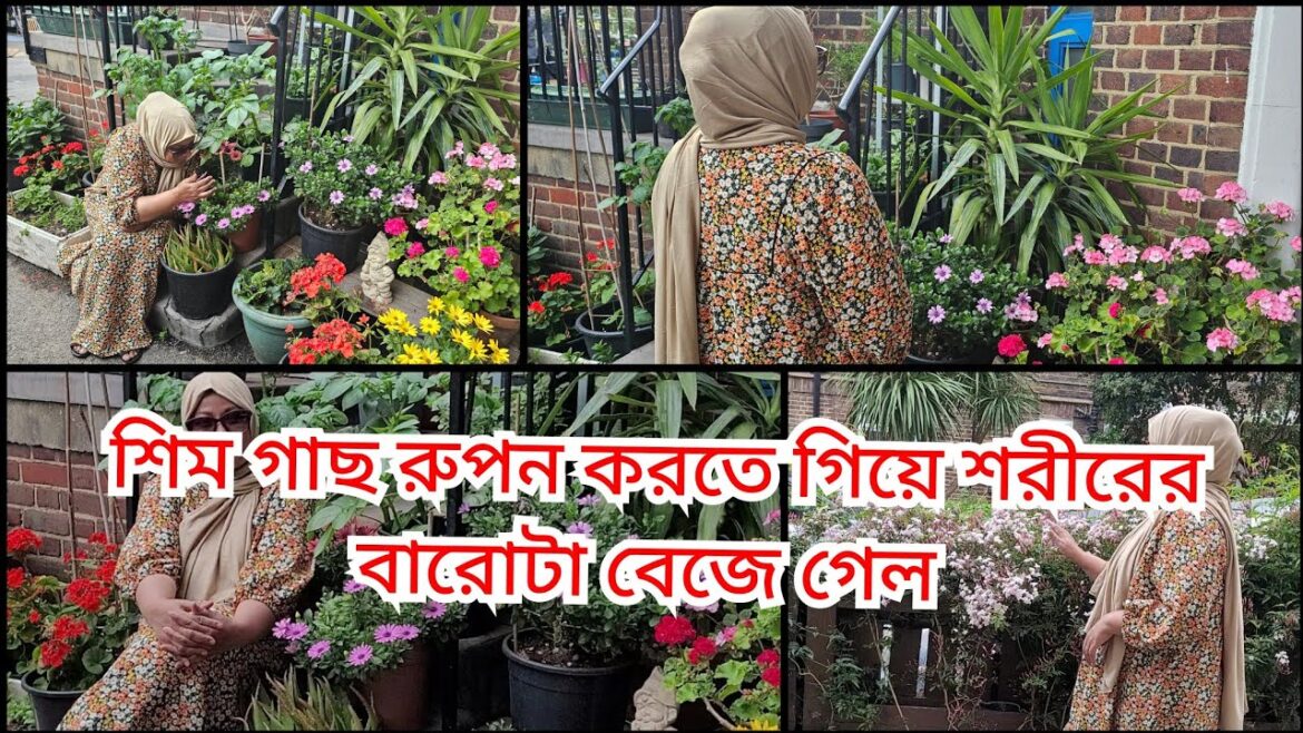 London small front yard vegetable garden.