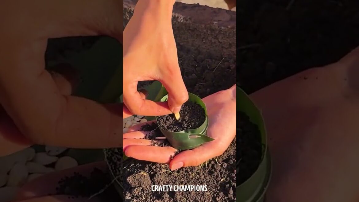 Garden Ideas That Would Bring You Gardening Joy 🍀