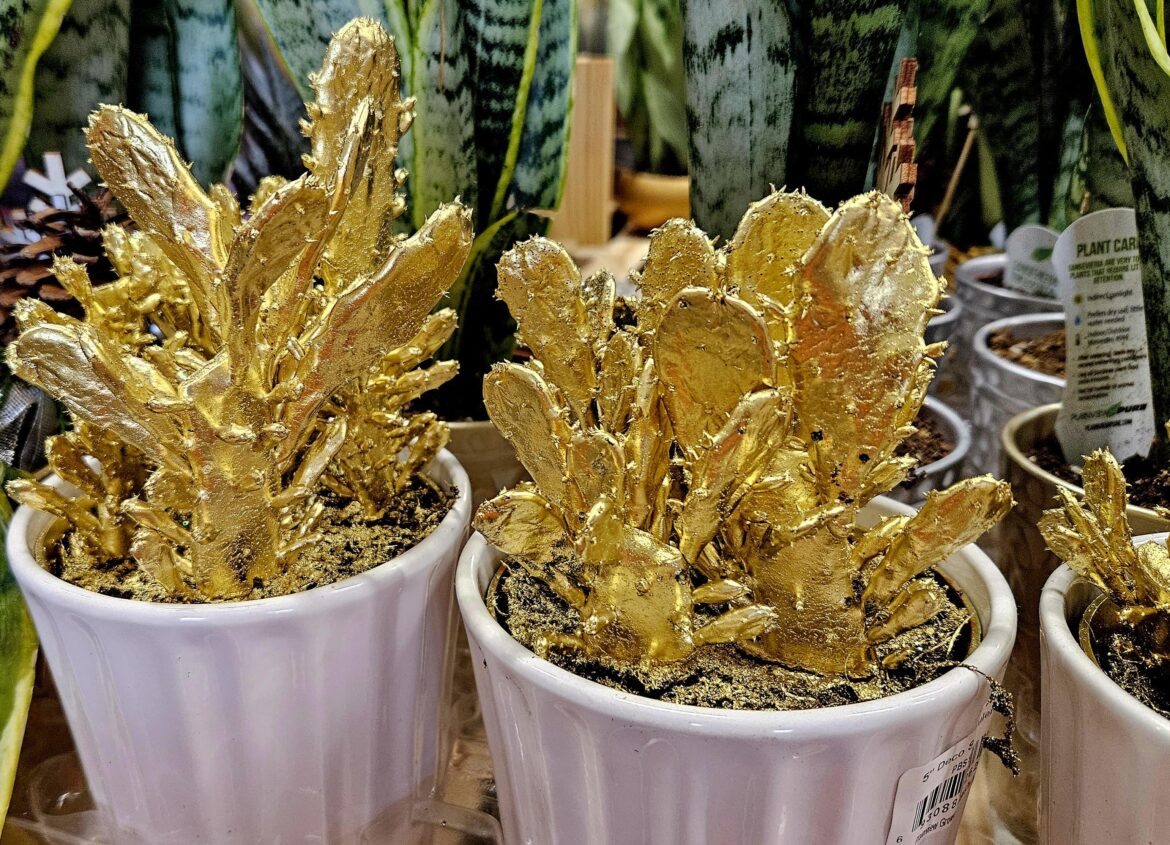 I wish I could spray paint on the people who decided this is a good idea.