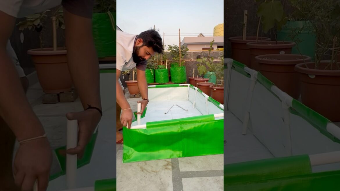 OrganicBazar 723612 Rectangular Grow Bag with Pvc Pipes Frame|| #gardening #shortsfeed 🪴🫶🏻 OrganicBazar 72*36*12 Rectangular Grow Bag with Pvc Pipes Frame|| #gardening #shortsfeed 🪴🫶🏻