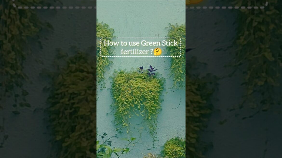 How to use Green stick fertilizer🪴#yt  #gardening#garden#tipsanfmdtricks#organic#plants