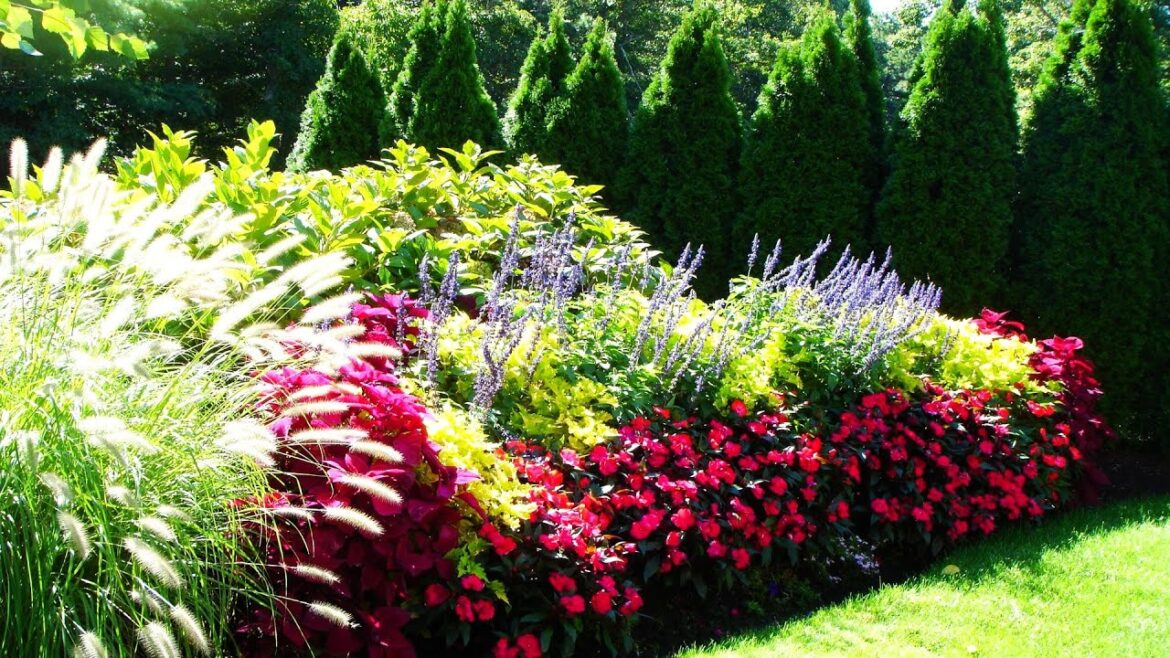 STUNNING! SHRUBS GARDEN FOR LANDSCAPING IDEAS | YEAR-ROUND PLANT THAT MAKES YOUR GARDEN BEAUTIFUL!