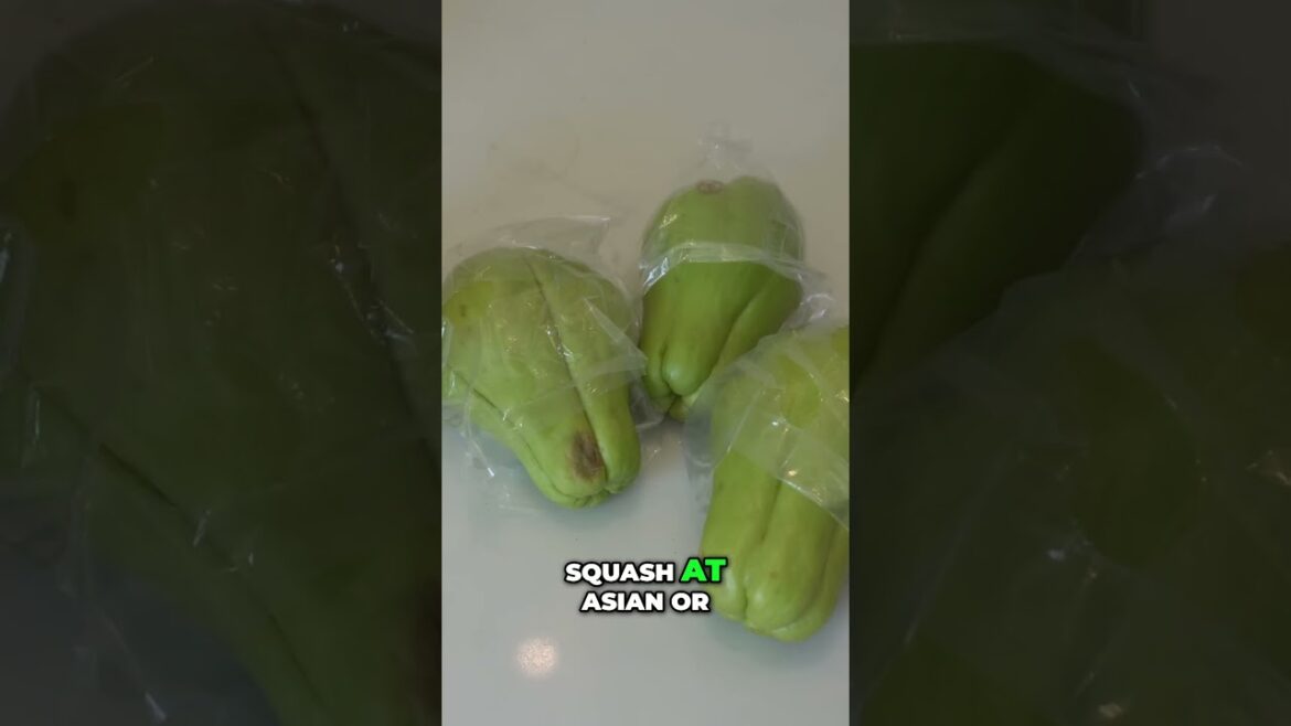 California Gardening: Chayote Squash: Growing Guide from a Dollar Store Find! π±π₯ Chayote Squash: Growing Guide from a Dollar Store Find! π±π₯