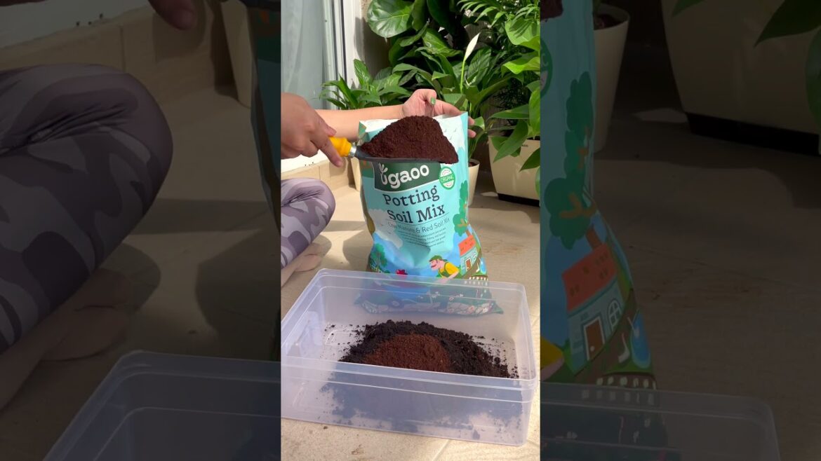 Now that’s what we call a healthy soil mix!