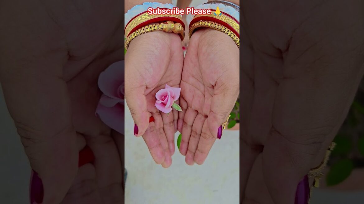 ফুল নিয়ে টিকটিক #gardening #youtubeshorts #UpdateGardening #garden #youtubeshort #flowers #rose ফুল নিয়ে টিকটিক #gardening #youtubeshorts #UpdateGardening #garden #youtubeshort #flowers #rose