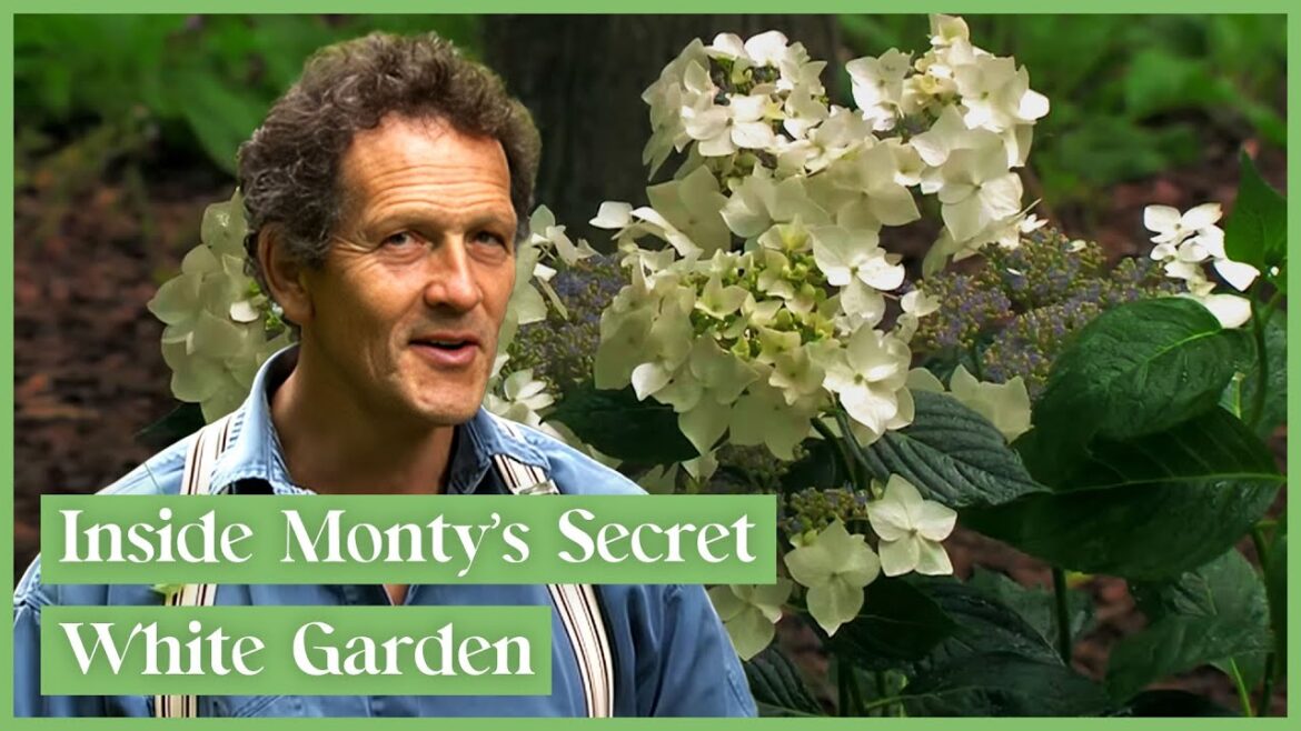 Monty Don's Private White Garden: Woodland Planting Tips | Gardeners' World