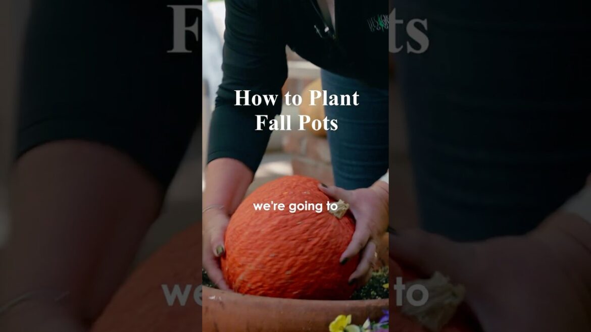 How to Plant Fall Pots Like a Pro #gardening