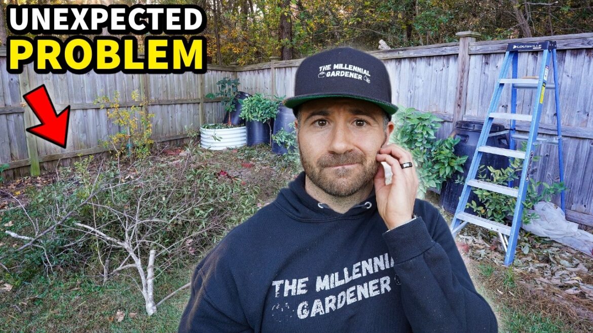 My Garden Didn’t Go As Planned (BAD GARDEN DESIGN!)