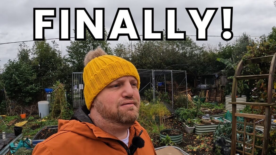 Finishing the Garden for Winter | Allotment Garden UK