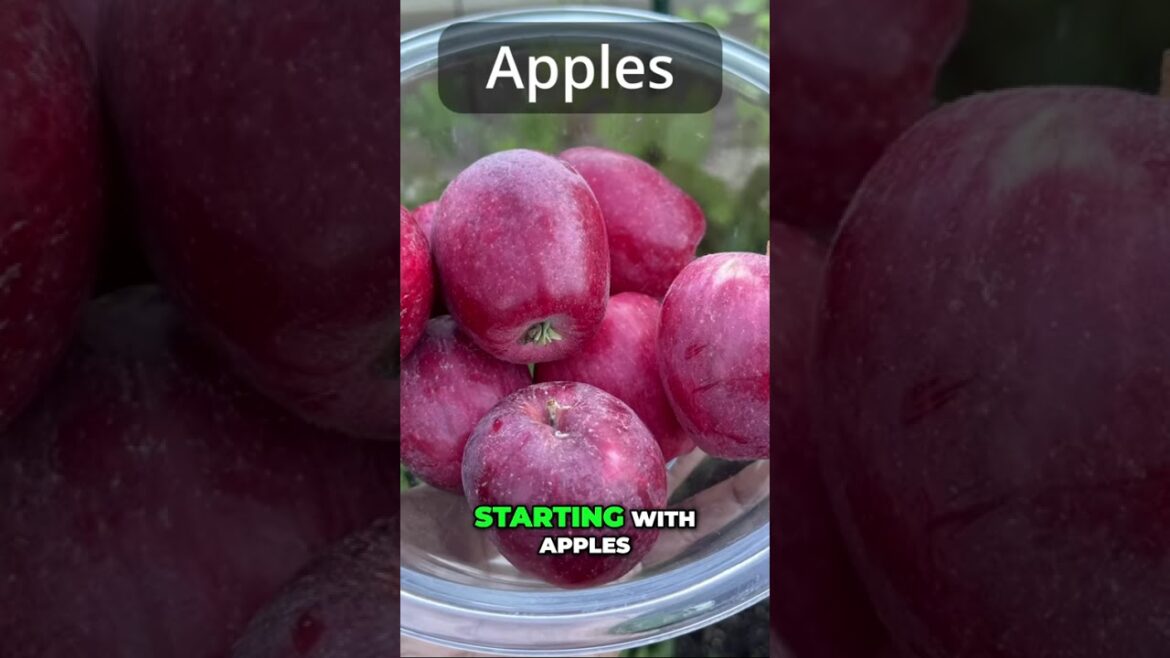 California Garden Harvest: Apples and More! 🍎🌿