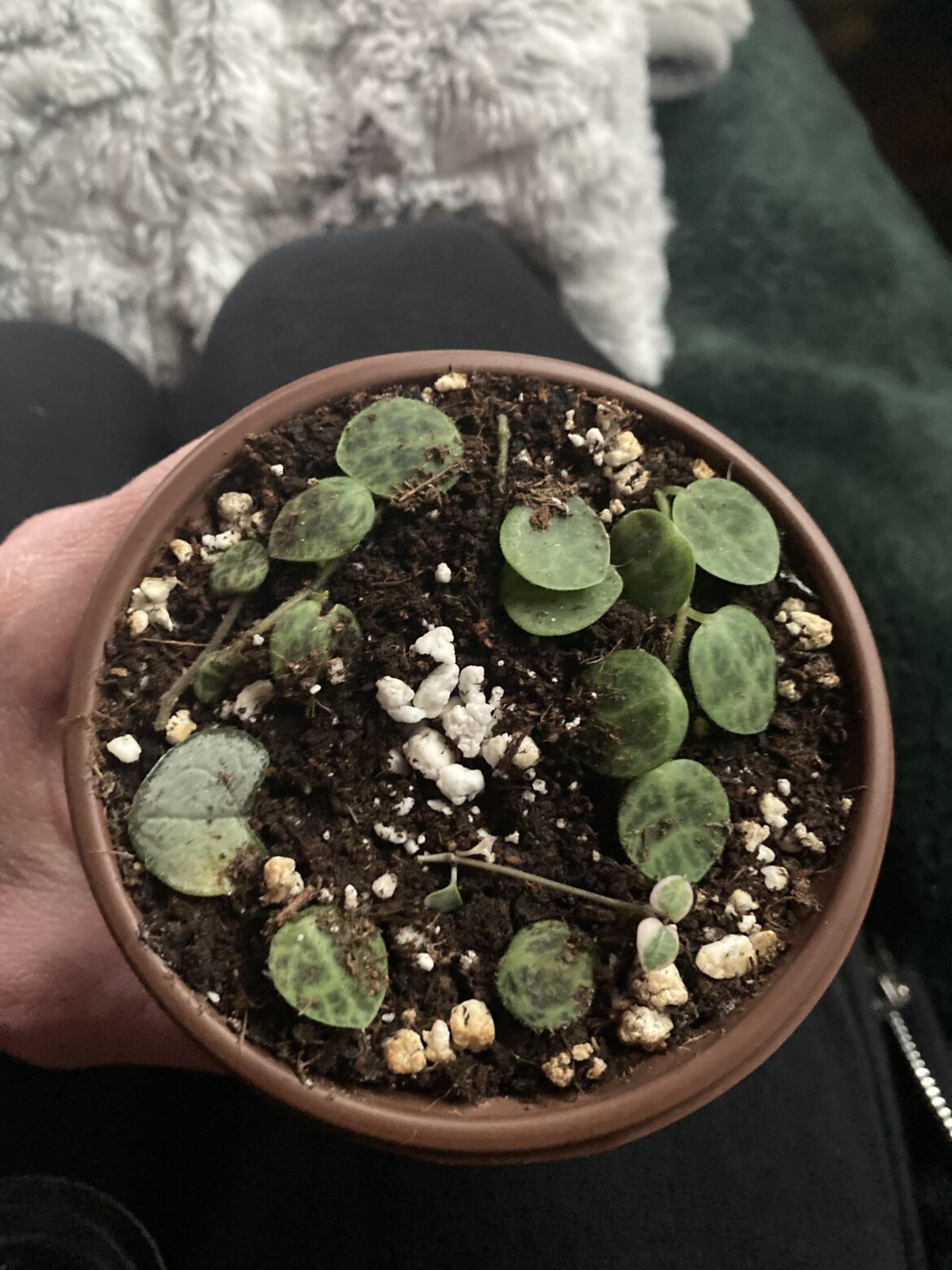 Am I doing this string of things propagation right ?