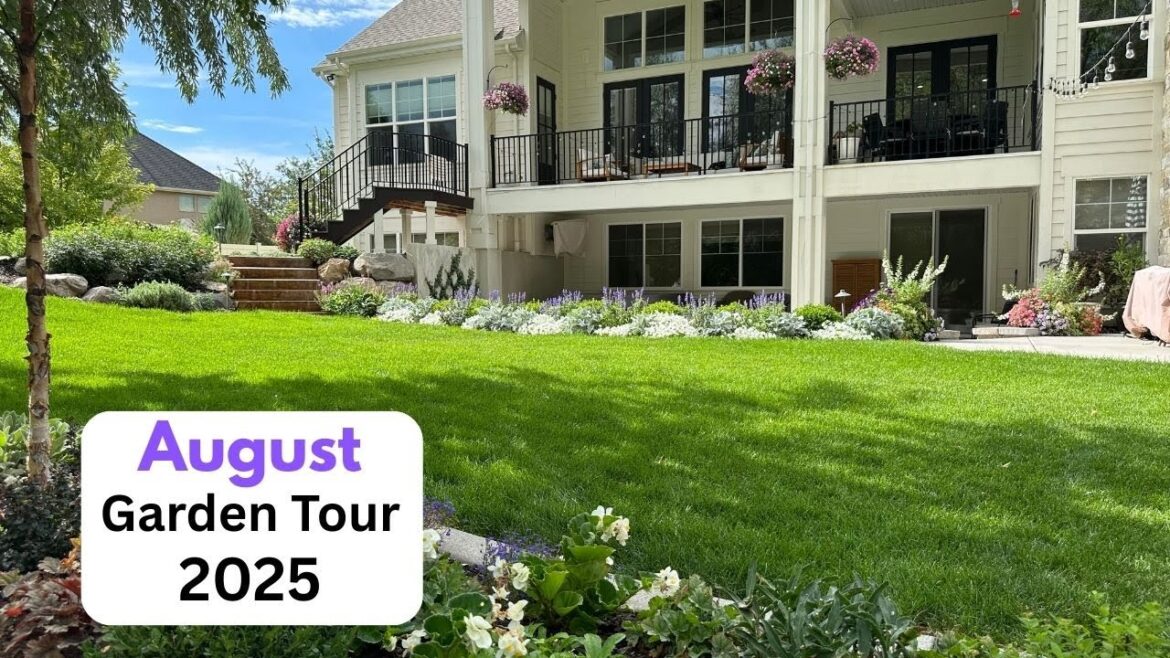 August Backyard Garden Tour 2025! August Backyard Garden Tour 2025!