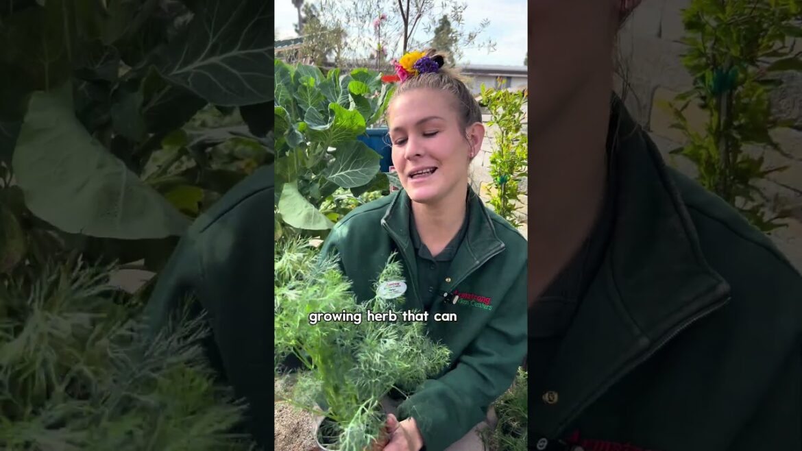 Create a Food Forest - Ideas for Your Edimental Garden Design