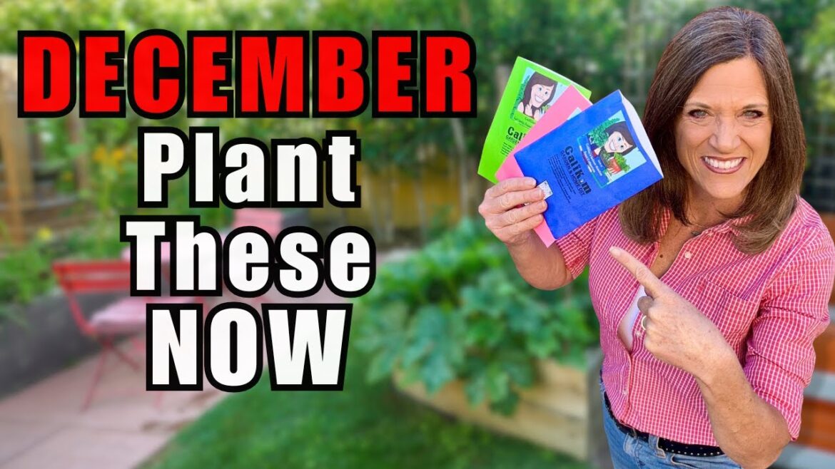 15 December Vegetables You Can STILL Plant - No Matter Where You Live