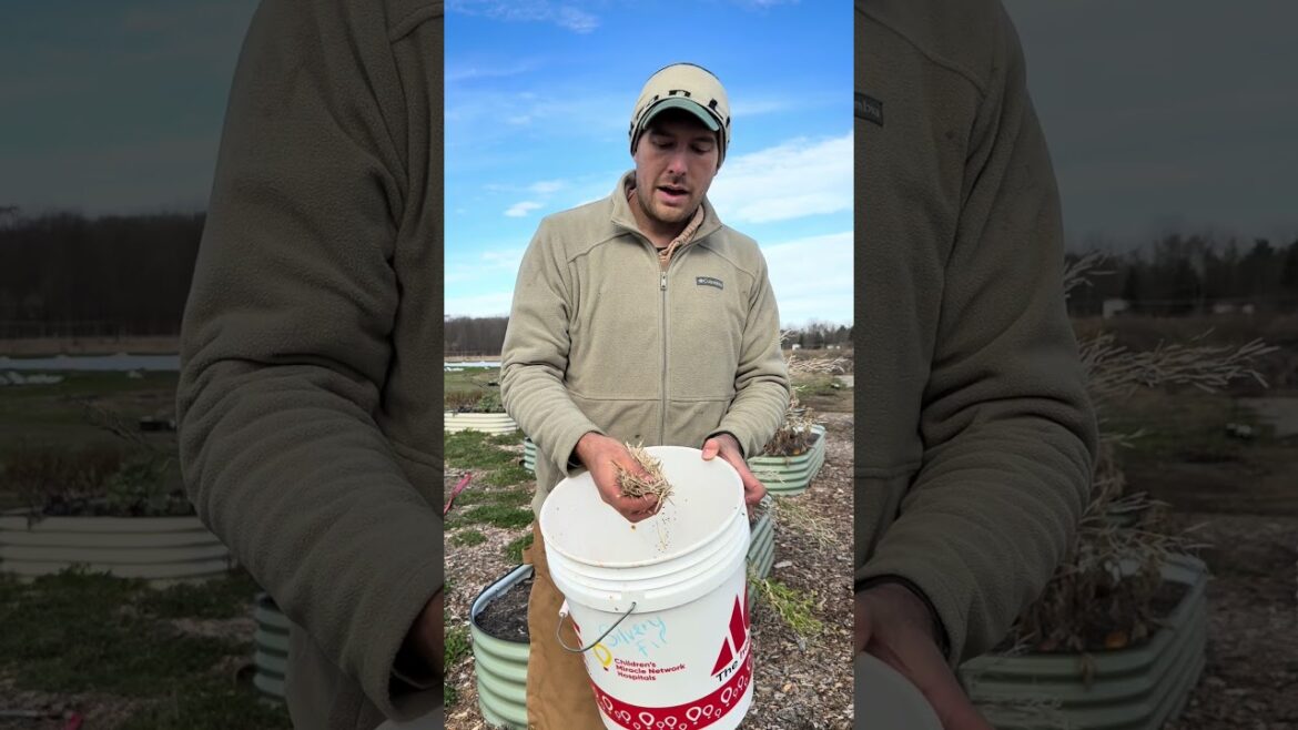 The Wind is Such a Helpful Tool! #gardening #garden