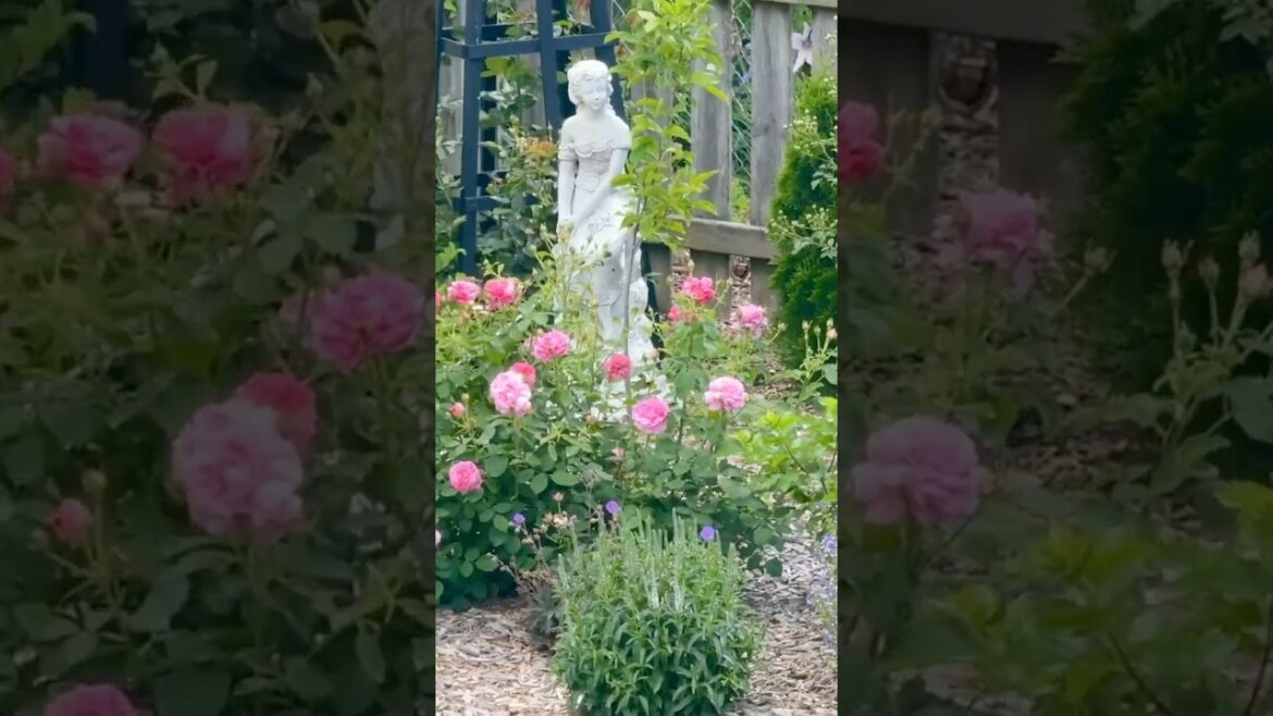 THRIFT FINDS that will Make Your Garden Amazing!