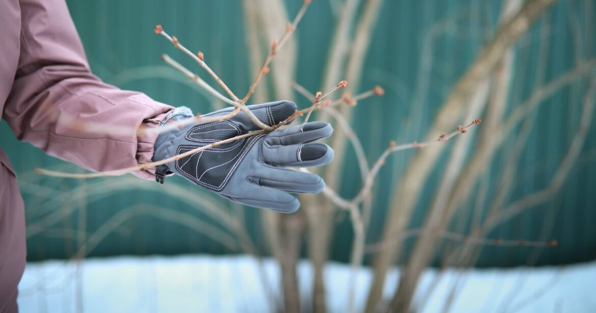 Stop tidying your garden and avoid 1 task to see ‘healthy’ plants in spring Daily Mirror