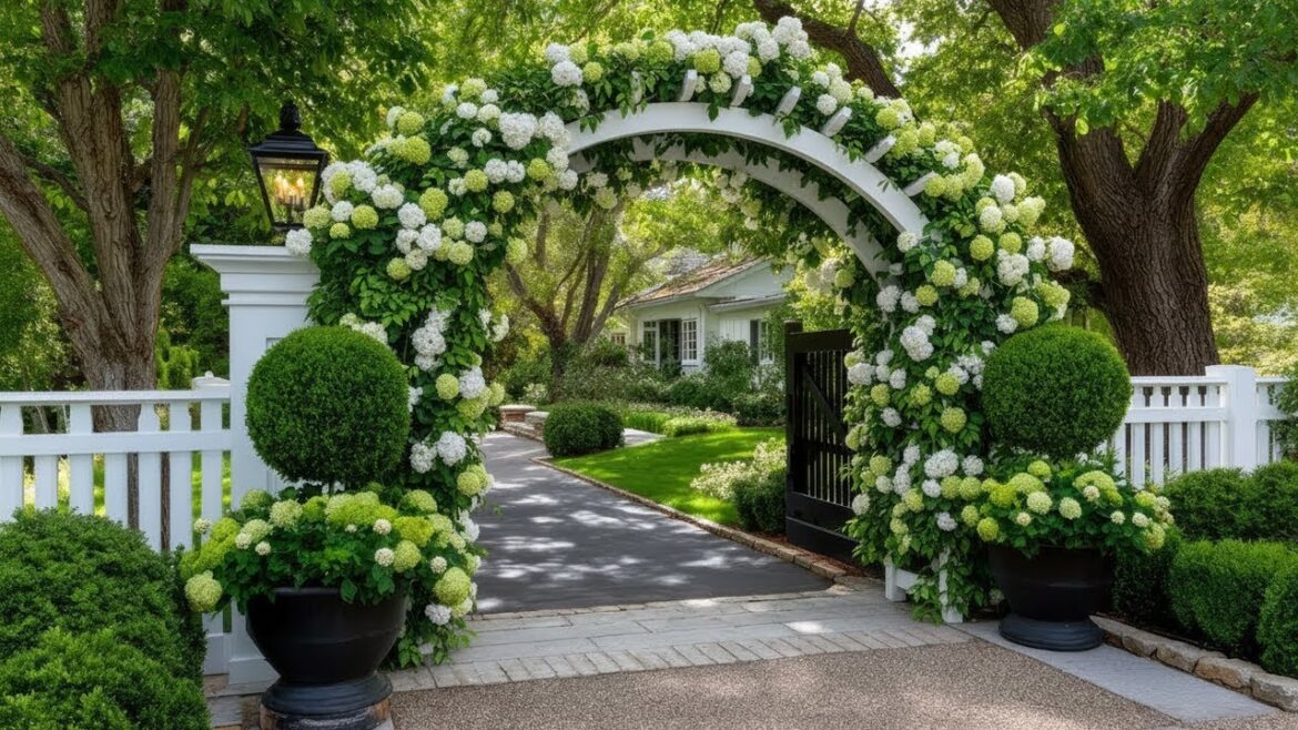 Elegant Landscaping Entryways for Small Front Yards | Premium Garden Gates & Arch Designs