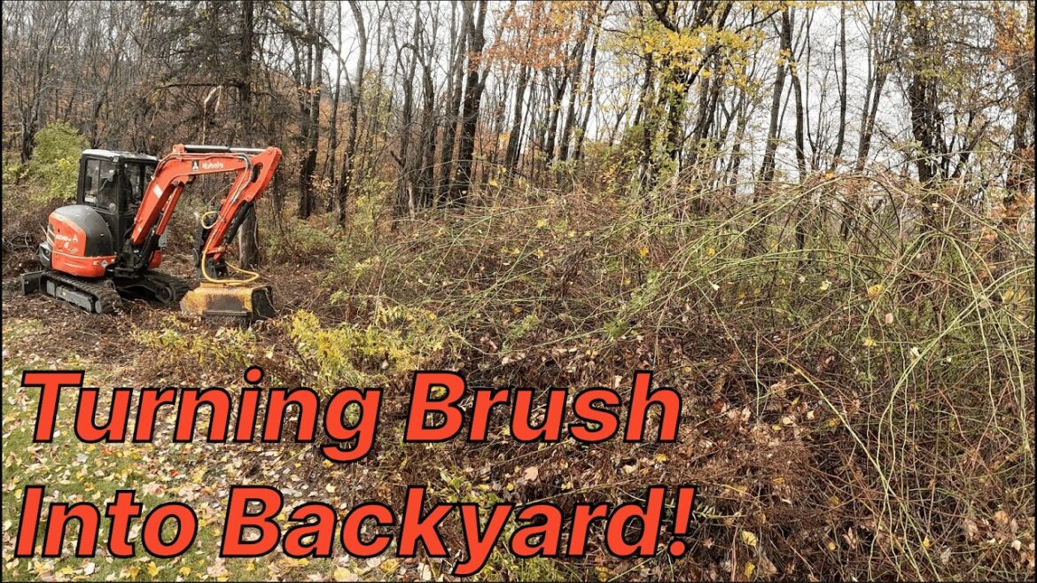 Making More Room to Play | Backyard Expansion with Forestry Mulching