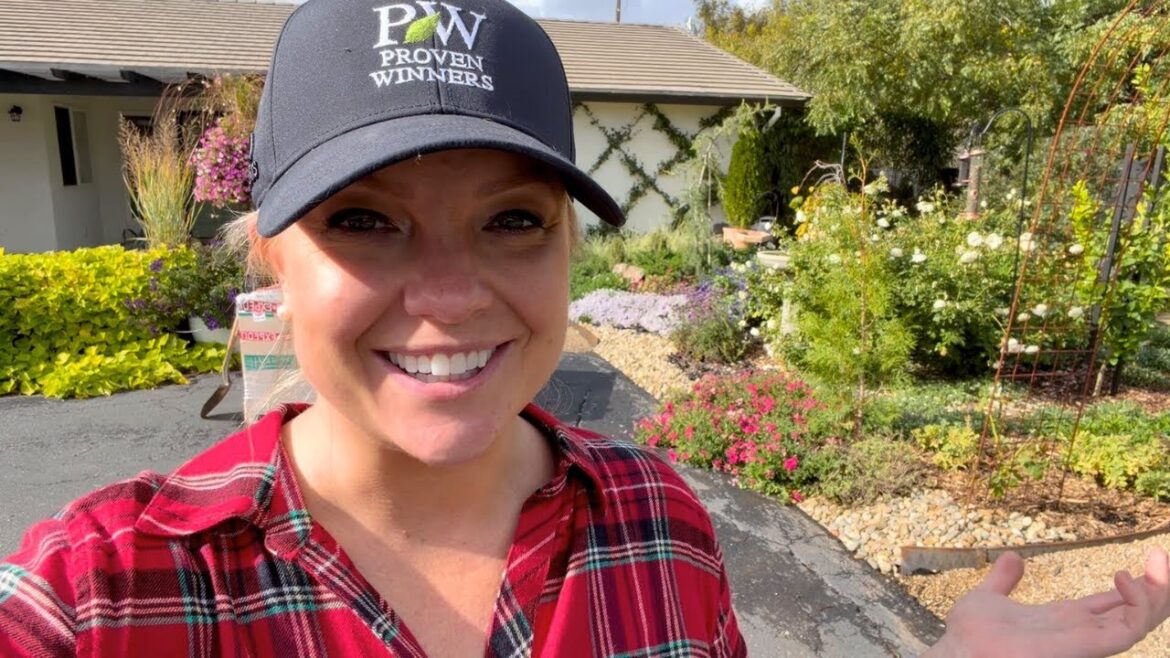 Tidy Up Your Garden with a Simple Rock Border! Tidy Up Your Garden with a Simple Rock Border!