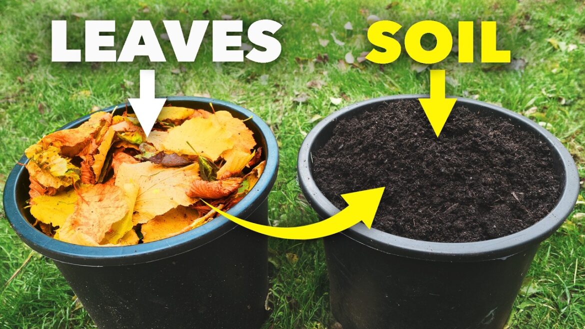 The Clever Way Smart Gardeners Make Amazing Soil