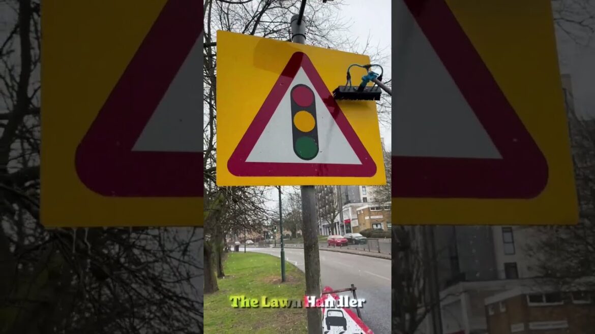 Blowing Leaves | Pressure Washing | Mowing #shorts #satisfying #gardeing Blowing Leaves | Pressure Washing | Mowing #shorts #satisfying #gardeing