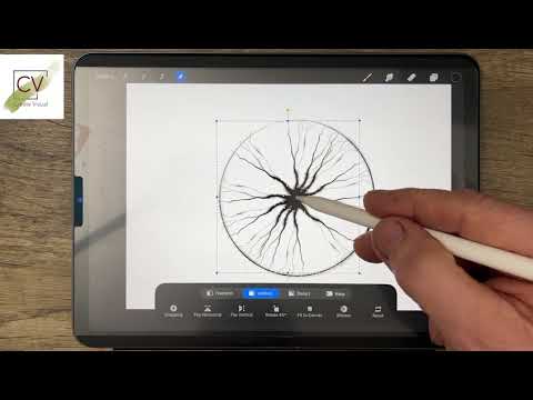 Procreate: Drawing a Tree Symbol Procreate: Drawing a Tree Symbol
