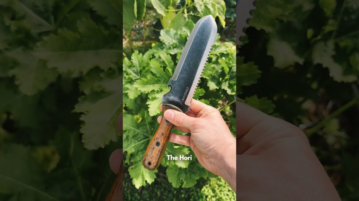 3 Essential Tools For Your Garden #gardeningtools #gardentools #gardenessentials #gardeninspo 3 Essential Tools For Your Garden #gardeningtools #gardentools #gardenessentials #gardeninspo