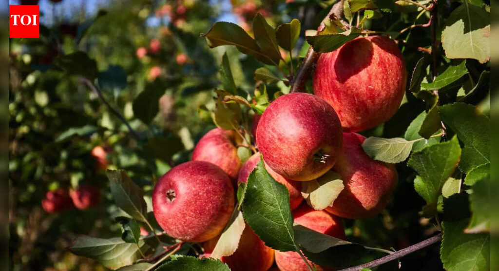 8 plants that thrives in cold-weather gardens 8 plants that thrives in cold-weather gardens